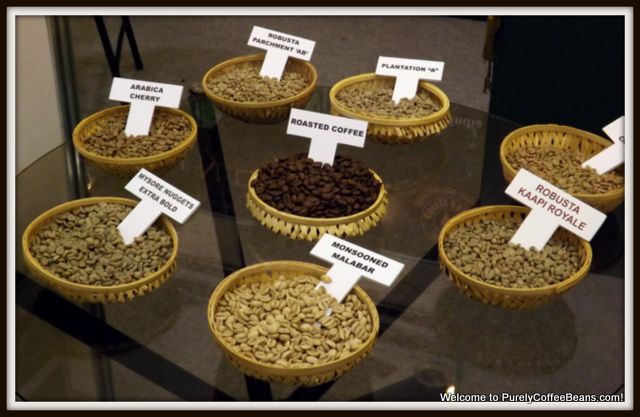 Image result for types of coffee produced in india
