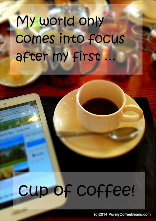 My World Comes Into Focus: Coffee Meme | PurelyCoffeeBeans' Reviews
