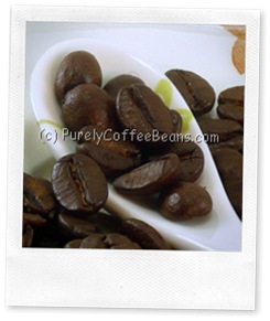 BlueMountainJamaicanCoffeeBeans2